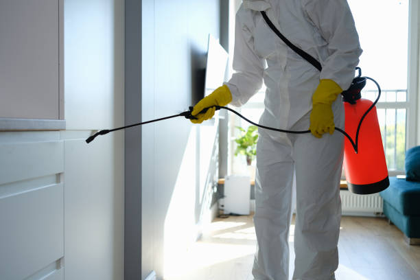 Best Post-Remediation Services in Ridgecrest, FL